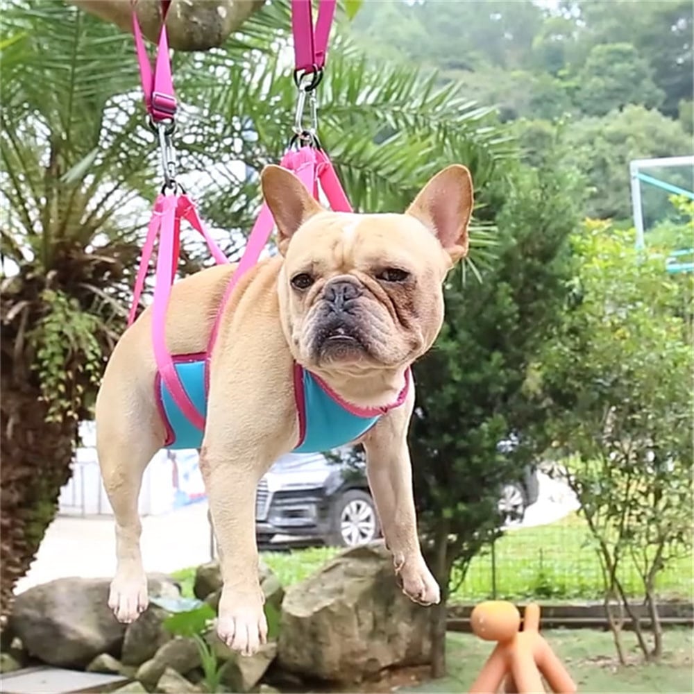 Pet Grooming Hammock Kit for Cats & Dogs with Trimmer