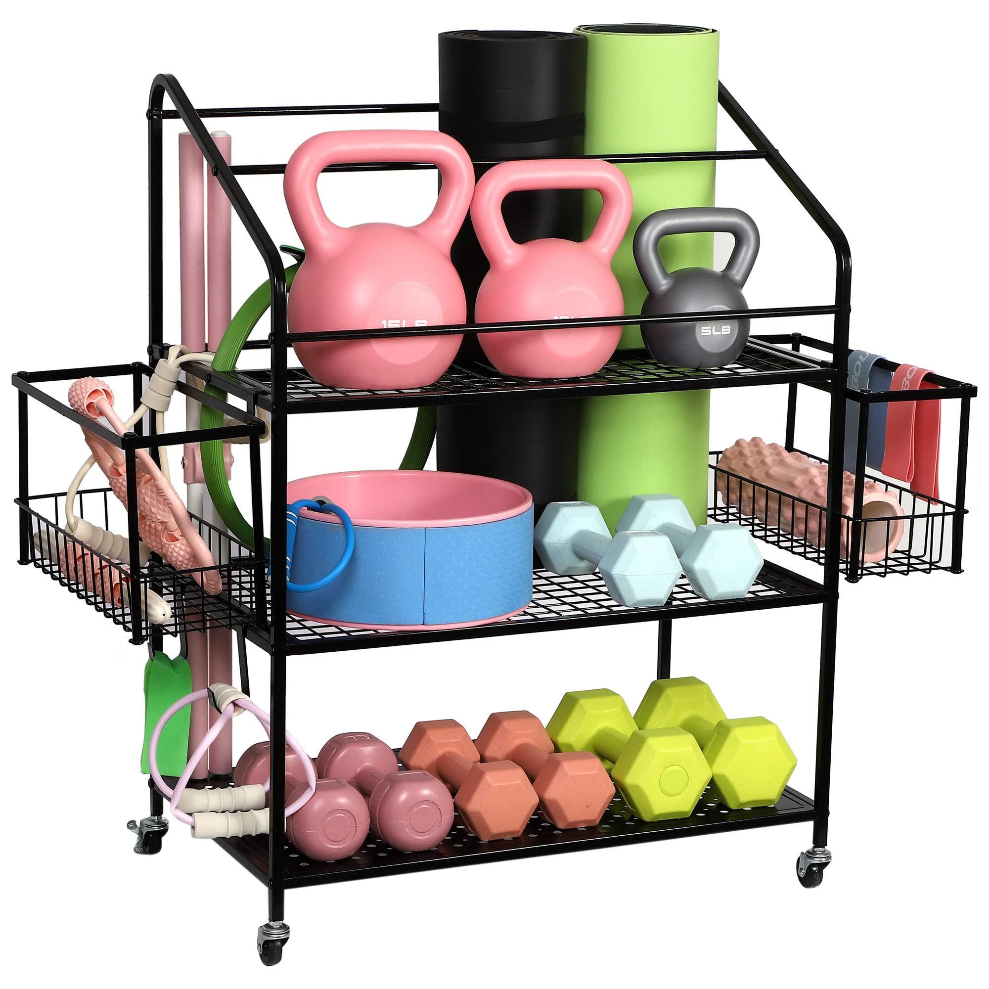 Home Gym Weight Storage Rack